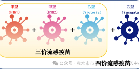 【泗渡镇卫生院】预防流感 接种疫苗