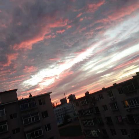 披锦绣瑞迎辉鹊