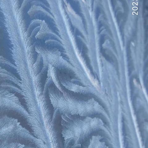 森盛簇茂盎然翠，流风漫雾霜霞归