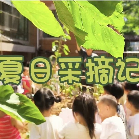 烟台市市级机关幼儿园·晶晶班 笑咏欢唱六月末