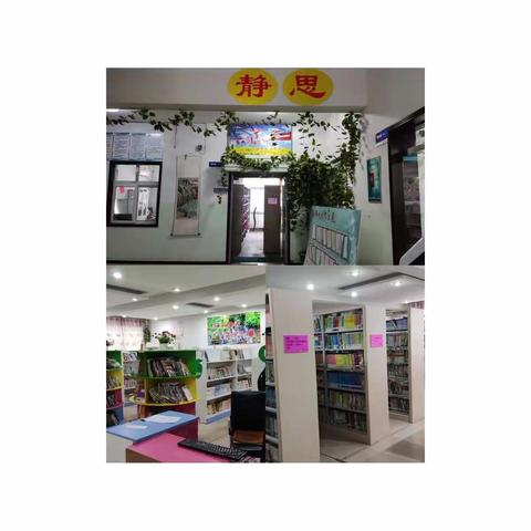春风拂柳   书香为伴