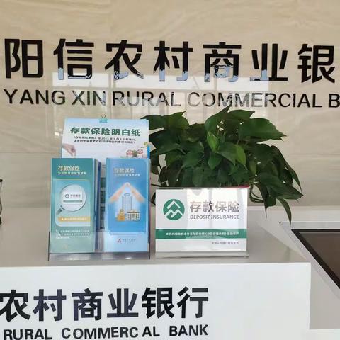 存款保险主题宣传