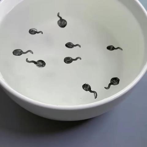 小三班科学活动《小蝌蚪游啊游》——研和中心幼儿园2022年寒假幼儿发展亲子微活动