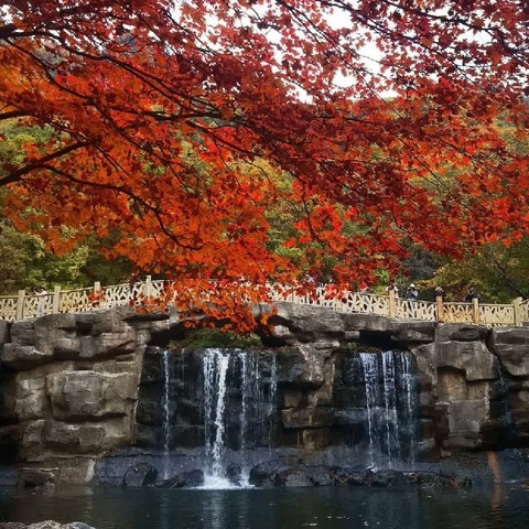 岁月向晚 季节含香