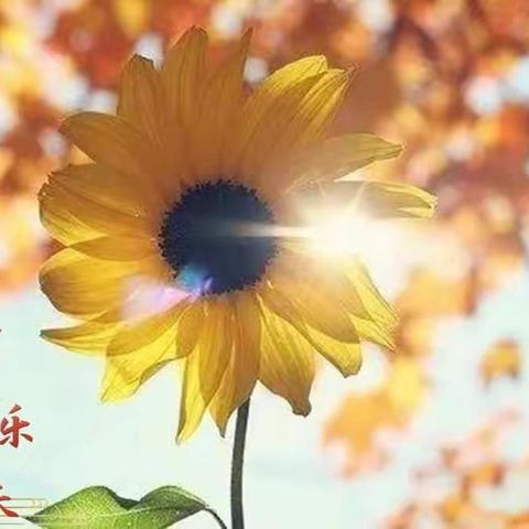 增强“心”动力，自信赢成长