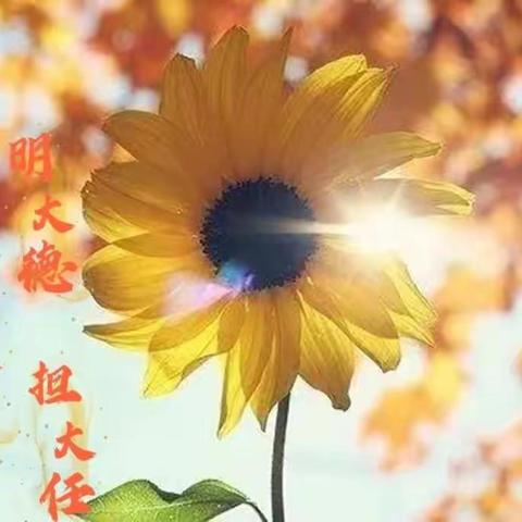 树立正确价值观，享受高品质人生