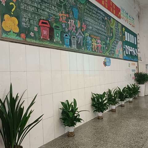 今日寻芳泗水滨，无边光景一时新———706班班容班貌建设初见成效