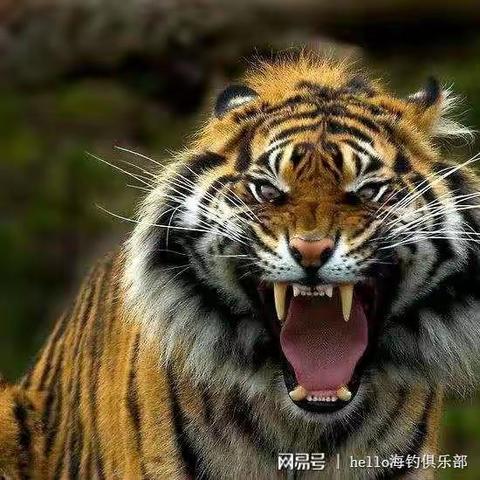 2021.5.5    闲言碎语说声色
