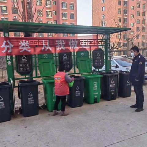 宣传引导人人行动，分类投放家家动手——北戴河新区持续开展定点指导促分类