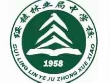 【能力作风建设】云端教研集智慧 研思泉涌以致远——林业中学线上“教学思路设计”大赛纪实