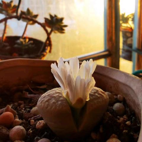 捡拾岁月，向微光跋涉