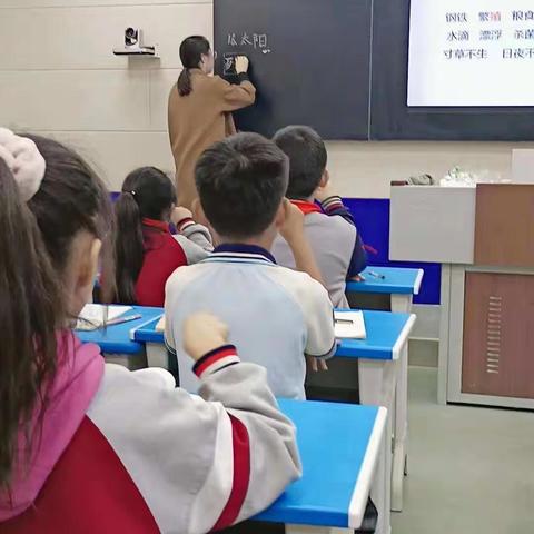 【温水镇中心小学王琳琳】记温水镇中心小学五年级五六单元集体备课活动