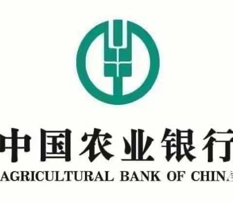 中国农业银行淮安分行涟水支行网点营销导入项目回顾