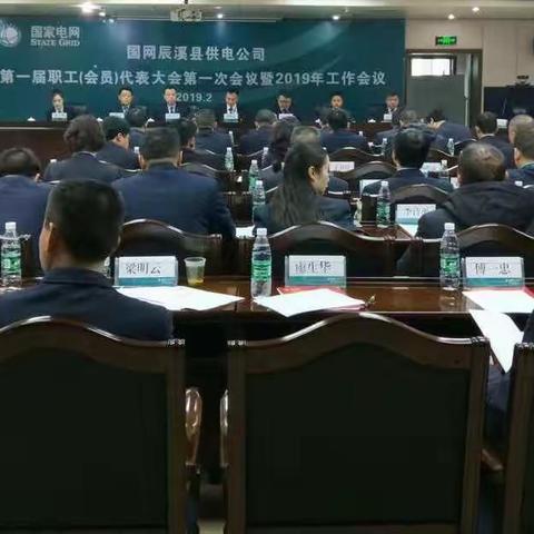 国网辰溪县供电公司召开第一届职工(会员)代表大会第一次会议暨2019年工作会议