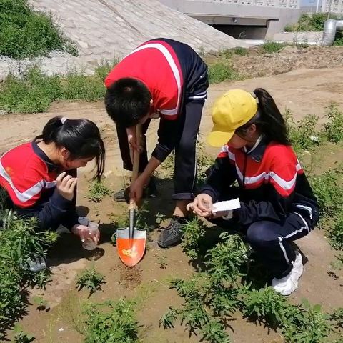 研学课程，我们在行动（五）——记孚日中学校东河流研学活动