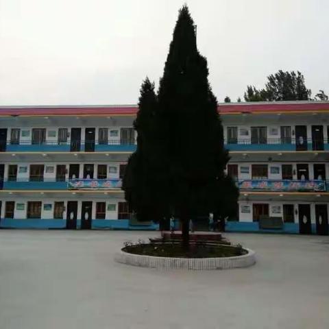 携手新教育 放飞新梦想 ―― 马店镇小新教育工作总结