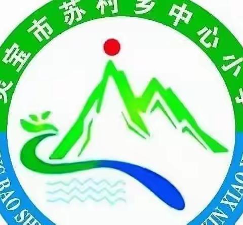 温馨家访路  浓浓师生情——苏村乡中心小学教师假期家访纪实