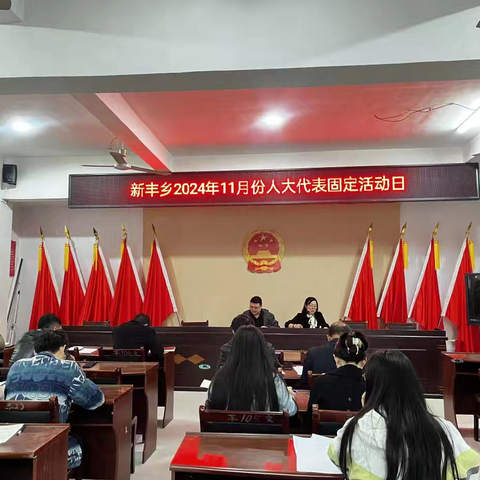 新丰乡人大2024年11月份代表固定活动日