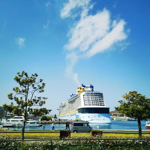 加勒比海洋光号游，