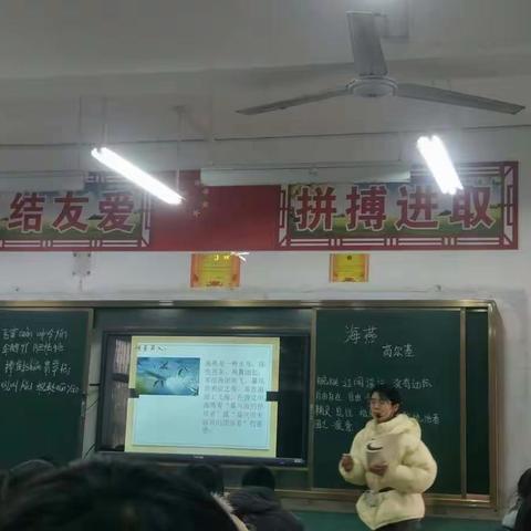 语文组 李慧老师公开课《海燕》