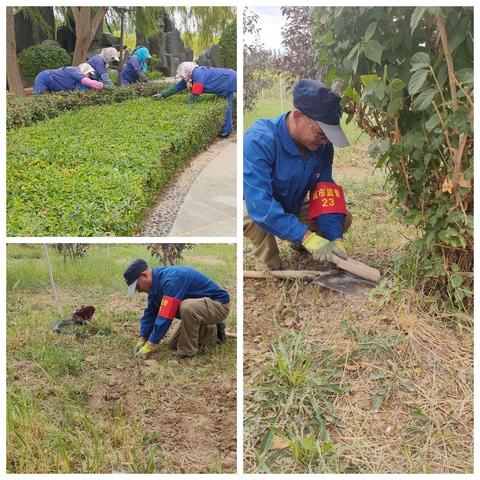 走精细化管理之路，创建魅力城市公园