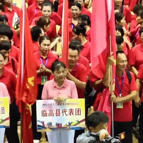 临高代表团参加省第十二届老年人体育运动会载誉归来