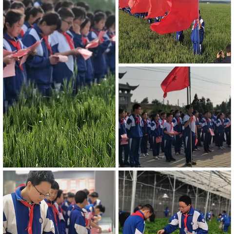 齐鲁中学少先队主题活动—“红领巾心向党，爱党爱国爱家乡”