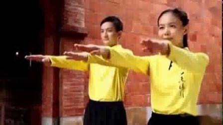 健康养生法——平甩功（动作示范）