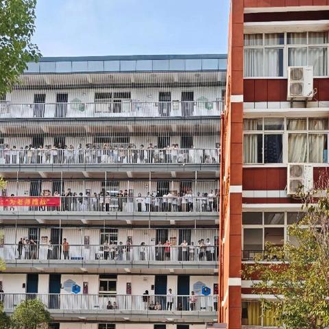 白羽飞扬承烽火，师生同心续和平