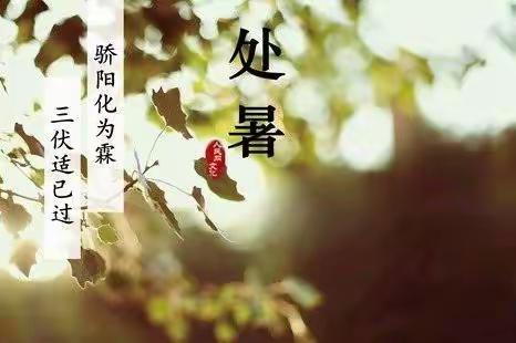 处暑艾灸养生