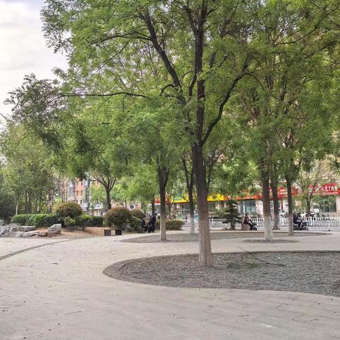 久旱逢甘霖  万物换新颜