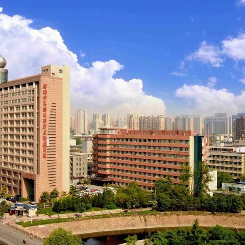 国医大师张磊教授治疗痛风经验研修班暨中药定点介入治疗风湿骨病研修班第二轮会议通知