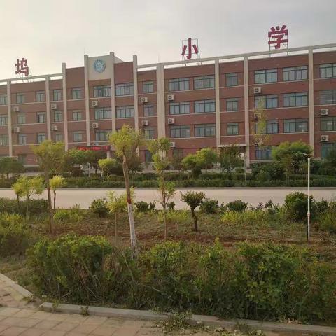 苔花如米小 也学牡丹开——丁坞镇中心小学研学小组展示课纪实