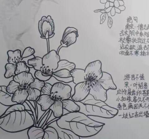 《一九〇六：英伦乡野手记》                                  阅读分享