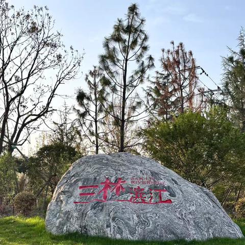 走进三林滨江城市森林