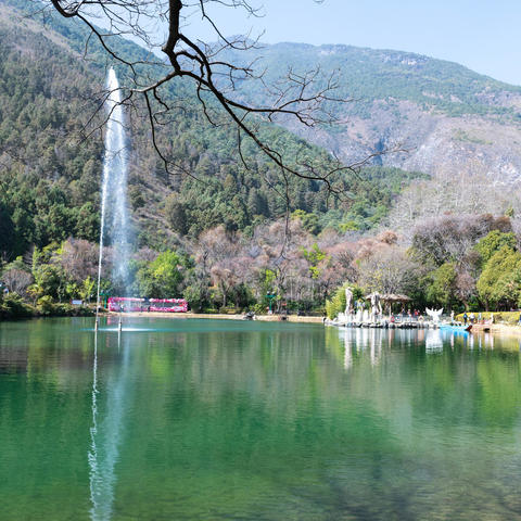 旅居大理日记之蝴蝶泉