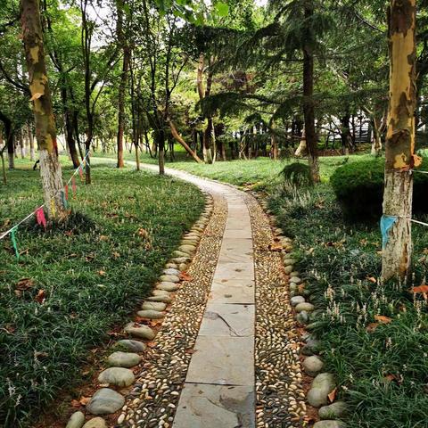 漫步在公园的小路上