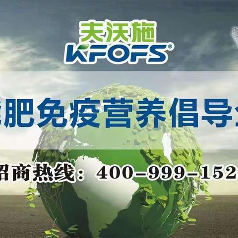 夫沃施助您解决西瓜面临的“五大难题”，为西瓜优质高产保驾护航！