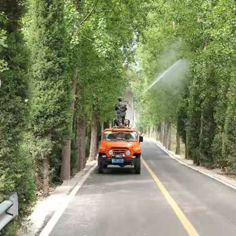 历城区园林和林业绿化局全面做好第一代美国白蛾防治工作