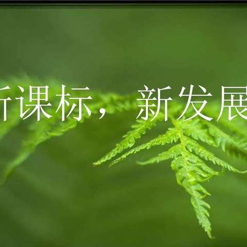 《义务教育课程方案和课程标准》全员培训工作总结