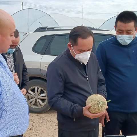 县委副书记、县长梁明深入昌化镇调研新城村蜜瓜种植基地