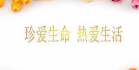珍爱生命，热爱生活——淅川县一初中主题班会