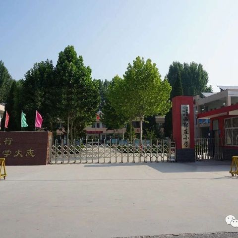 “双减”助力下我的花样周末    南蒲街道西郭庄小学六一班