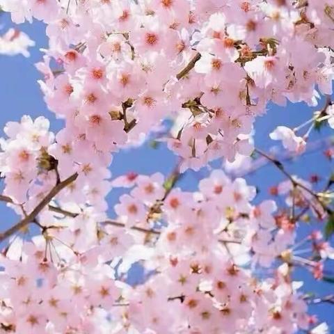 我在这里等你—杨圪崂中学疫情防控开学准备纪实
