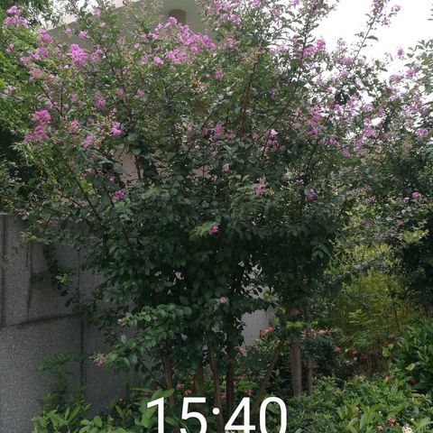 灿邦国际七月份工作简报