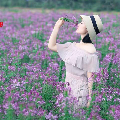 漫步花海心语