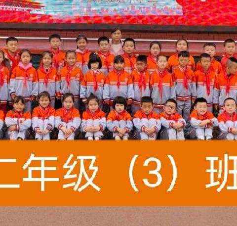 【实验小学】二年级三班读书交流活动