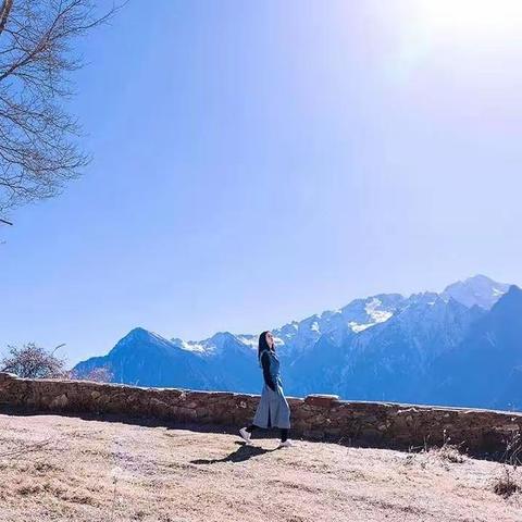 不用追一匹马（深度好文）