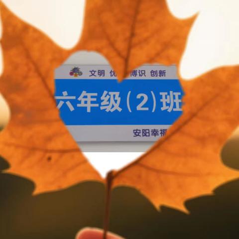 月考之后——幸福小学6.2班的数学之旅二