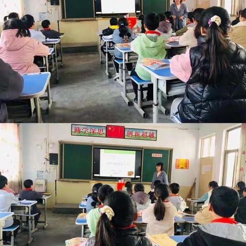 专业引领指方向，倾情指导促成长